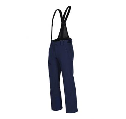 Men's insulated ski pants